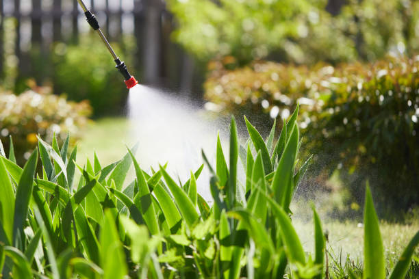 24/7 Emergency Fumigation Services experts in Menifee, CA