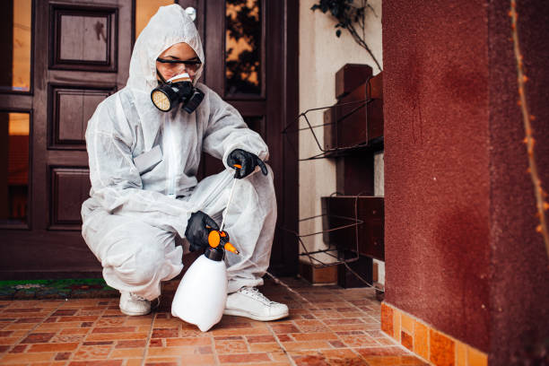 Reliable Fumigation Services contractor in Menifee, CA by Nex Pest Control