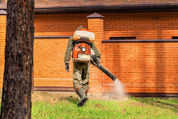 Trusted Fumigation Services service in Menifee, CA - Nex Pest Control